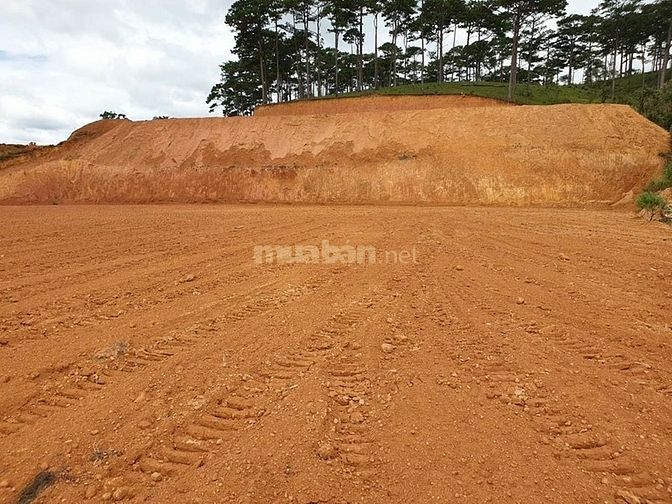 Cần bán đất biệt thự HXH Đống Đa, phường 3. Đà Lạt 56383633 Cần bán đất biệt thự HXH Đống Đa, phường 3. Đà Lạt