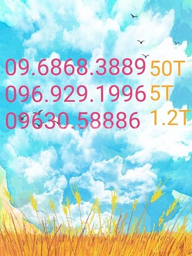 Sim lộc phát đuôi 889, sim năm sinh. 56375174 Sim lộc phát đuôi 889, sim năm sinh.