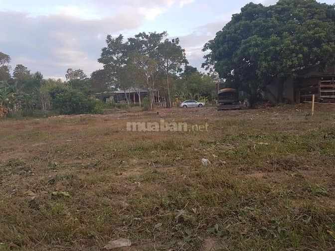 Bán đất giá rẻ thị trấn Cam Lộ,5x20m,đường bê tông 6m 56394045 Bán đất giá rẻ thị trấn Cam Lộ,5x20m,đường bê tông 6m
