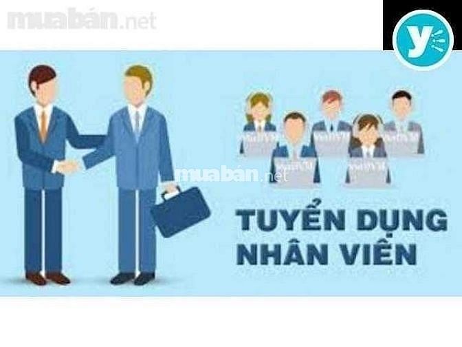 Cần tuyển gấp nhân viên kế toán và thu ngân trong siêu thị 56438556 Cần tuyển gấp nhân viên kế toán và thu ngân trong siêu thị