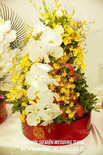 Lễ Ăn Hỏi Đẹp - Tư Vấn của Cưới Hỏi Sự Kiện Ngân Tiana