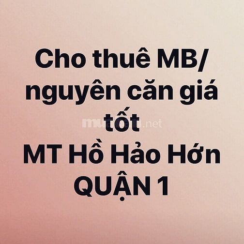 Cho thuê mặt bằng trung tâm đường hai chiều 56315885 Cho thuê mặt bằng trung tâm đường hai chiều