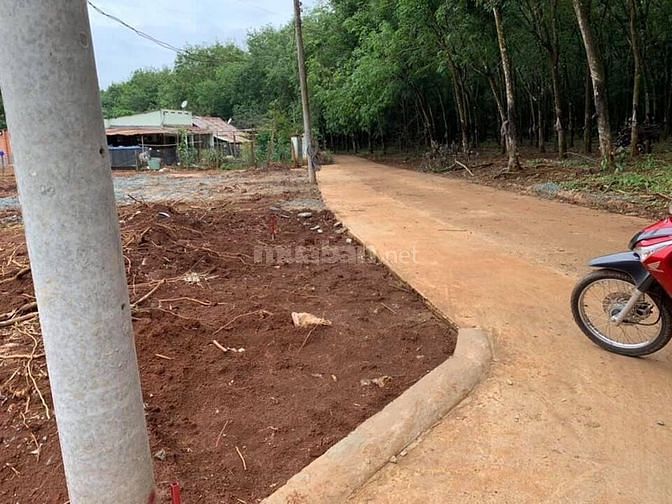 Đất Bình Phước,dự án mới 5x50x100tc= 135tr-150tr giá đầu tư bao lời 56491569 Đất Bình Phước,dự án mới 5x50x100tc= 135tr-150tr giá đầu tư bao lời