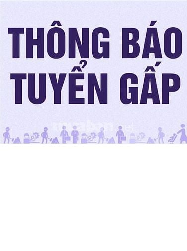 Tuyển nhân viên kinh doanh cho công ty đá quý khu vực Hà Nội 56614677 Tuyển nhân viên kinh doanh cho công ty đá quý khu vực Hà Nội