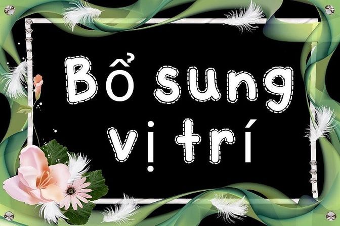 Cần Nhân bán hàng (không cần ngoại hình) 56639519 Cần Nhân bán hàng (không cần ngoại hình)
