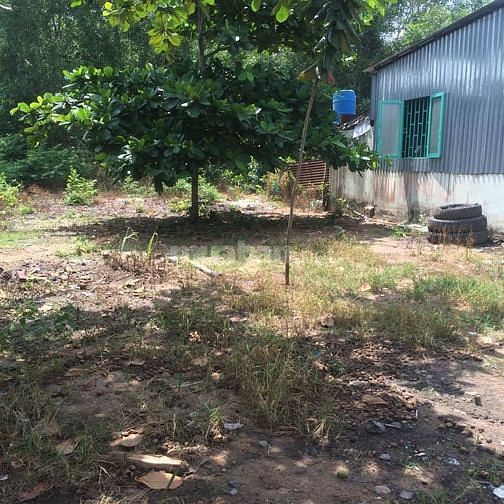 Tôi cần bán lô đất CLN xã Phú Đông giá 930tr/1000m sổ hồng riêng, 49408830 Tôi cần bán lô đất CLN xã Phú Đông giá 930tr/1000m sổ hồng riêng,