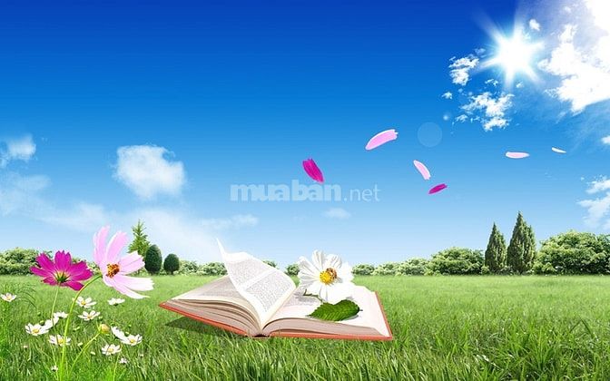 Tuyển người giúp việc nhà đưa đón bé đi học 56704986 Tuyển người giúp việc nhà đưa đón bé đi học