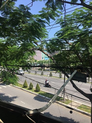 Cho thuê Nhà mặt tiền an thượng 19 vừa ở vừa kinh doanh 56765742 Cho thuê Nhà mặt tiền an thượng 19 vừa ở vừa kinh doanh
