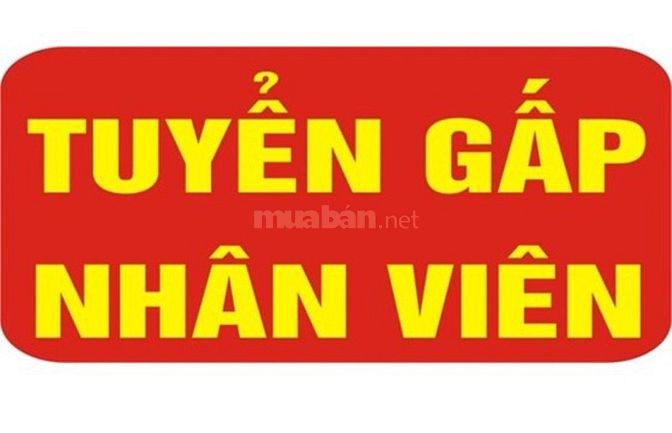 Tuyển thèm nhân viên bán hàng tai siêu thị mini 56802032 Tuyển thèm nhân viên bán hàng tai siêu thị mini