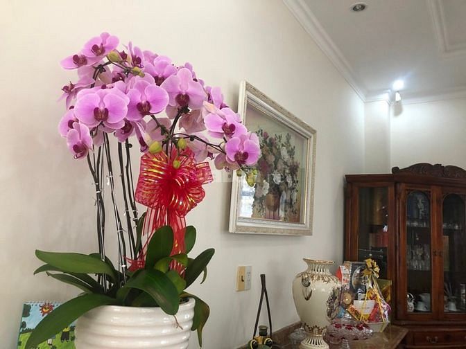 Bán nhanh căn nhà mặt tiền hẻm 8m Quốc Hương, Thảo Điền, Quận 2 56823621 Bán nhanh căn nhà mặt tiền hẻm 8m Quốc Hương, Thảo Điền, Quận 2