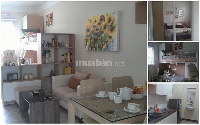 Bán nhà đường Hoa Lan, P02, Q. Phú Nhuận, DT: 12m x 18m 56822492 Bán nhà đường Hoa Lan, P02, Q. Phú Nhuận, DT: 12m x 18m