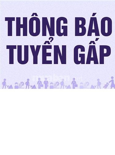 Tuyển nhân viên chở gas, lương từ 7 đến 9 triệu 55294594 Tuyển nhân viên chở gas, lương từ 7 đến 9 triệu