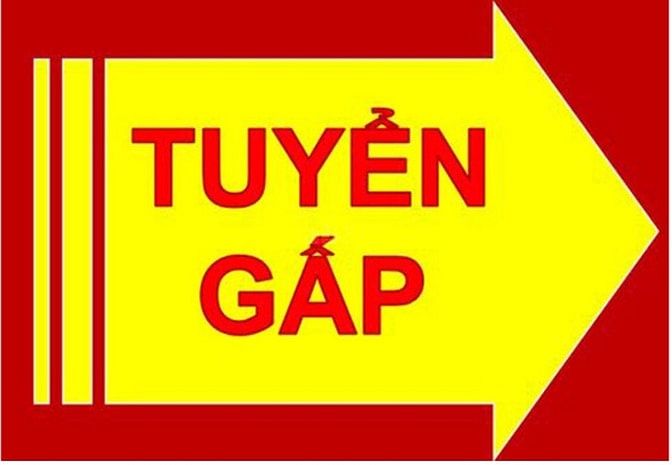 Tuyển nhân viên nam nữ làm việc tại Siêu Thị Tiện Lợi Mini 56864019 Tuyển nhân viên nam nữ làm việc tại Siêu Thị Tiện Lợi Mini