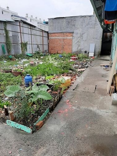 Nhượng 110m2 đất thổ 1,1 tỷ đường to cạnh bên Nhà Văn Hóa xã Long Hậu 56872944 Nhượng 110m2 đất thổ 1,1 tỷ đường to cạnh bên Nhà Văn Hóa xã Long Hậu
