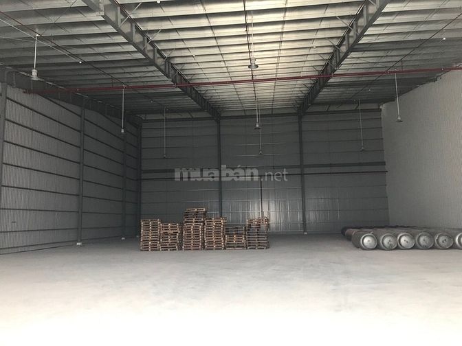 Cần cho thuê kho xưởng trong KCN tại Cần Giuộc, giá thuê ổn định