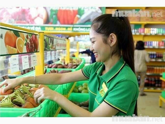 Ưu tiên Sinh Viên ,Nội Trợ ( làm việc tại Siêu Thị Mini ). 56221550 Ưu tiên Sinh Viên ,Nội Trợ ( làm việc tại Siêu Thị Mini ).