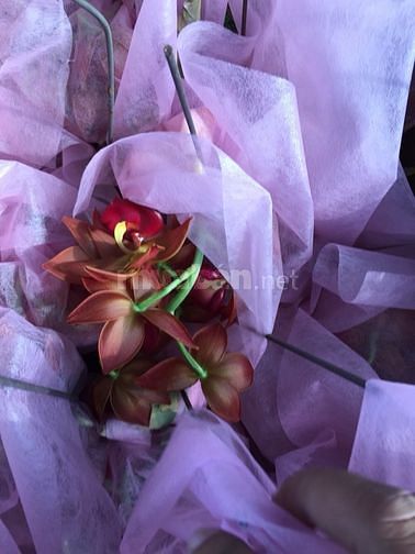 Tuyển nhân viên nam nữ làm tại bình thạnh và gò vấp 56990147 Tuyển nhân viên nam nữ làm tại bình thạnh và gò vấp