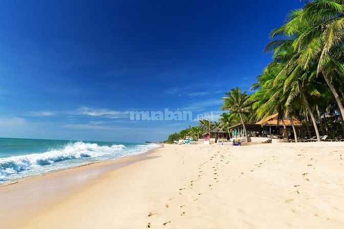Bán khách sạn MT đường Chế Lan Viên, gần biển Phan Thiết, Bình Thuận. 57042548 Bán khách sạn MT đường Chế Lan Viên, gần biển Phan Thiết, Bình Thuận.