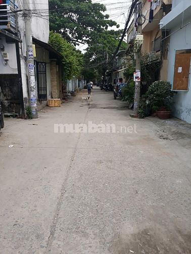 Nhà cho thuê nguyên căn Dương Quảng Hàm, P.5, Gò Vấp 57065358 Nhà cho thuê nguyên căn Dương Quảng Hàm, P.5, Gò Vấp