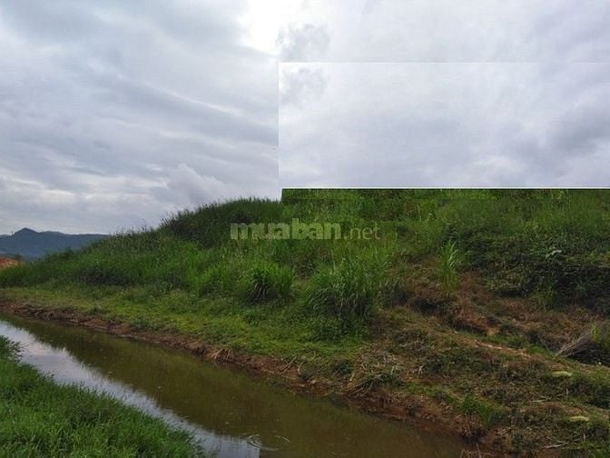 Tôi có khách cần mua đất tại thành phố Đà Lạt, đất nông nghiệp có sổ 57120006 Tôi có khách cần mua đất tại thành phố Đà Lạt, đất nông nghiệp có sổ