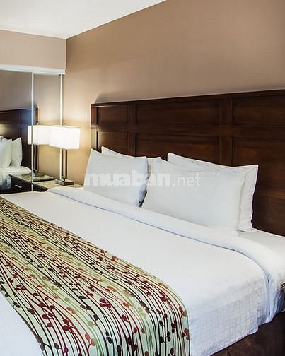 Bán (cho thuê) khách sạn đông khách, vị trí đẹp ở KDL Miếu Bà Châu Đốc 47038316 Bán (cho thuê) khách sạn đông khách, vị trí đẹp ở KDL Miếu Bà Châu Đốc