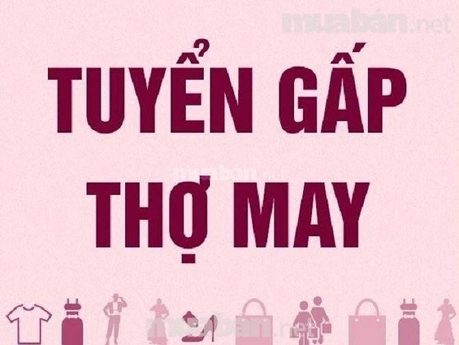 Công ty TNHH EL TOP Tuyển 15 Thợ May
7.000.000 - 11.000.000 đ/tháng 56862022 Công ty TNHH EL TOP Tuyển 15 Thợ May
7.000.000 - 11.000.000 đ/tháng