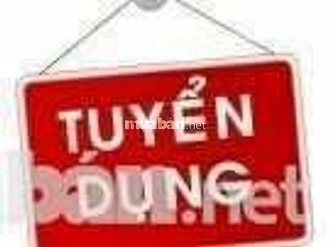 Cần tuyển nhân viên kế toán gấp 57371837 Cần tuyển nhân viên kế toán gấp