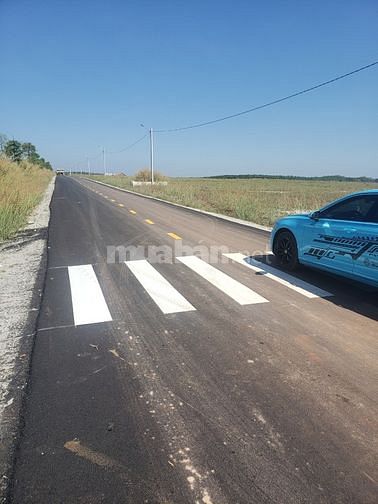 Cần tiền cưới vợ bán gấp lô đất mặt tiền đường bao đẹp 57416918 Cần tiền cưới vợ bán gấp lô đất mặt tiền đường bao đẹp