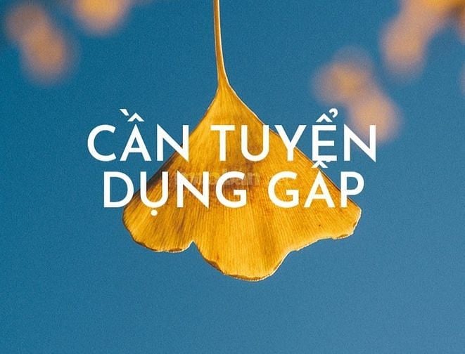 Cần tuyển gấp nhân viên bán hàng tại siêu thị 57431464 Cần tuyển gấp nhân viên bán hàng tại siêu thị