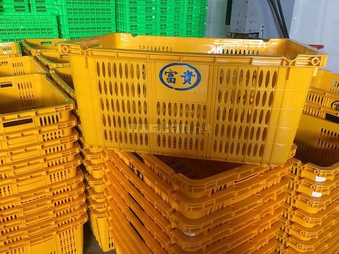 Ky đựng thanh long - rổ đựng thanh long giá rẻ 57416366 Ky đựng thanh long - rổ đựng thanh long giá rẻ