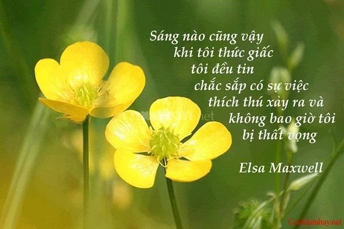 Ơn giời cần tuyển nam / nữ lao động phổ thông không cần kinh nghiệm 57442117 Ơn giời cần tuyển nam / nữ lao động phổ thông không cần kinh nghiệm