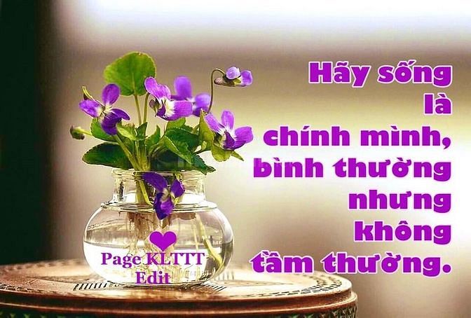 Tuyển nhân viên bán hàng siêu thị 57510108 Tuyển nhân viên bán hàng siêu thị