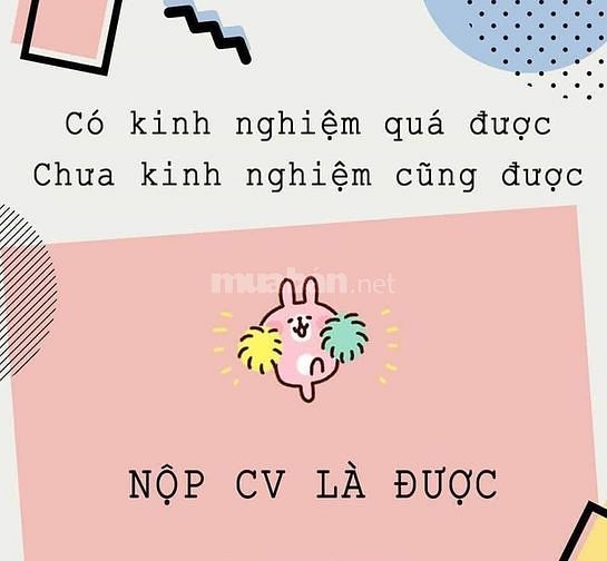 Tuyển 03 nhân viên vị trí sale admin 57520571 Tuyển 03 nhân viên vị trí sale admin