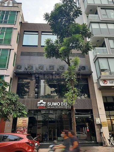 Bán toà nhà VP mặt phố Thượng Đình, mặt tiền 6m- Giá 25 tỷ 57585710 Bán toà nhà VP mặt phố Thượng Đình, mặt tiền 6m- Giá 25 tỷ