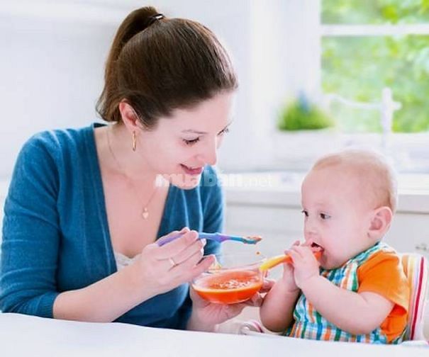 Cần Tìm 1 Người Giúp Việc Nhà 1 Người Chăm Bé 1 Người Chăm Bà Bao Ăn Ở 57605869 Cần Tìm 1 Người Giúp Việc Nhà 1 Người Chăm Bé 1 Người Chăm Bà Bao Ăn Ở