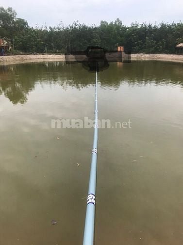 Cần sang hồ câu câu cá giải trí 57575006 Cần sang hồ câu câu cá giải trí