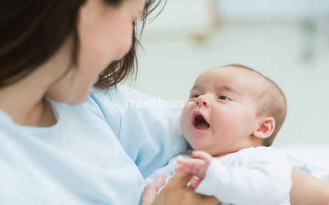 Cần Tìm 1 Người Giúp Việc Nhà 1 Người Chăm Em Bé 1 Chăm Bà Bao Ăn Ở 57605772 Cần Tìm 1 Người Giúp Việc Nhà 1 Người Chăm Em Bé 1 Chăm Bà Bao Ăn Ở