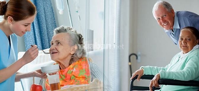 Cần Tìm 1 Người Giúp Việc Nhà 1 Người Chăm Trẻ 1 Chăm Bà Ăn Ở Lại 57605791 Cần Tìm 1 Người Giúp Việc Nhà 1 Người Chăm Trẻ 1 Chăm Bà Ăn Ở Lại