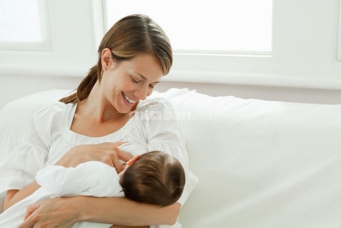 Cần Tìm 1 Người Giúp Việc Nhà 1 Người Chăm Bé 1 Người Chăm Bà Bao Ăn Ở 57605509 Cần Tìm 1 Người Giúp Việc Nhà 1 Người Chăm Bé 1 Người Chăm Bà Bao Ăn Ở