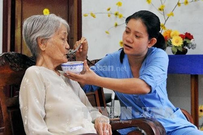 Cần Tìm 1 Người Giúp Việc Nhà 1 Người Chăm Trẻ 1 Chăm Bà Ăn Ở Lại 57605515 Cần Tìm 1 Người Giúp Việc Nhà 1 Người Chăm Trẻ 1 Chăm Bà Ăn Ở Lại