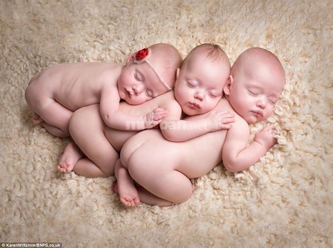 Cần Tìm 1 Người Giúp Việc Nhà 1 Người Chăm Trẻ 1 Chăm Bà Ăn Ở Lại 57606762 Cần Tìm 1 Người Giúp Việc Nhà 1 Người Chăm Trẻ 1 Chăm Bà Ăn Ở Lại