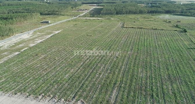 Bán đất minh thành chơn thành, sổ hồng riêng 57608531 Bán đất minh thành chơn thành, sổ hồng riêng