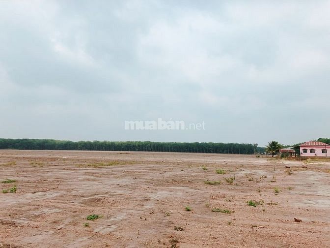Chính chủ bán gấp lô đất 750tr/1000m2 57609143 Chính chủ bán gấp lô đất 750tr/1000m2