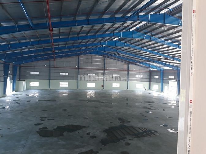 Nhà xưởng lớn 10,000m2 tại Thủ Đức có thể chia nhỏ theo nhu cầu. 57749650 Nhà xưởng lớn 10,000m2 tại Thủ Đức có thể chia nhỏ theo nhu cầu.