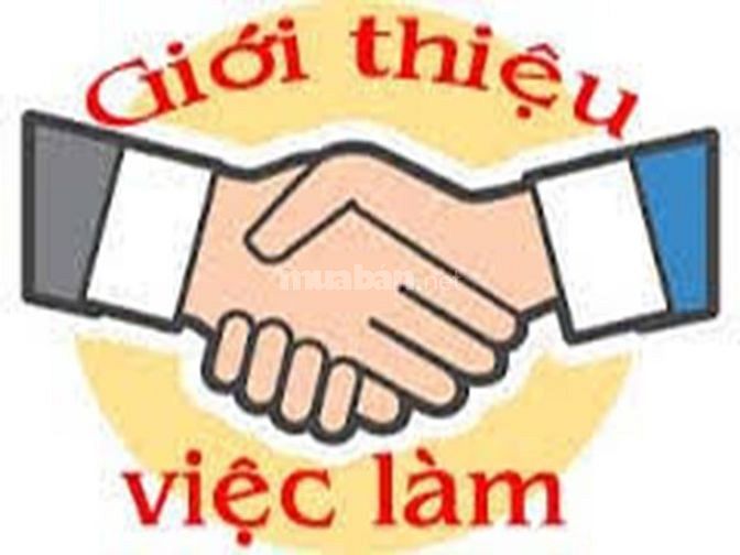 Việc làm Hot nhất hiện nay đang thịnh hành 57796880 Việc làm Hot nhất hiện nay đang thịnh hành