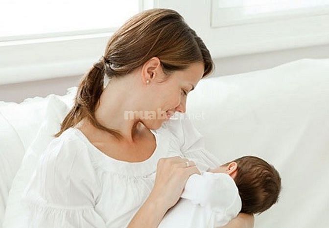 Cần Tìm 1 Người Giúp Việc Nhà 1 Người Chăm Bé 1 Người Chăm Bà Bao Ăn Ở 57806133 Cần Tìm 1 Người Giúp Việc Nhà 1 Người Chăm Bé 1 Người Chăm Bà Bao Ăn Ở
