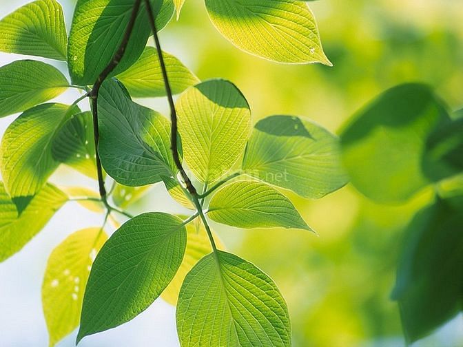 Tuyển gấp 50 bảo vệ, Quẹt thẻ xe, Giám sát an ninh không qua môi giới 49756688 Tuyển gấp 50 bảo vệ, Quẹt thẻ xe, Giám sát an ninh không qua môi giới