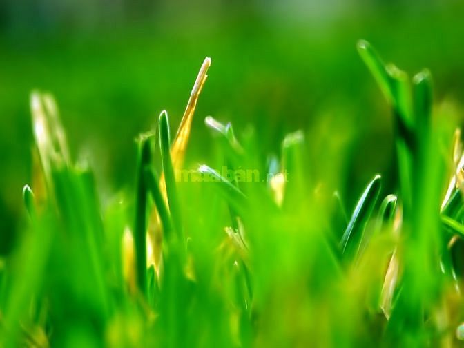 Quẹt Thẻ Xe_Quan Sát Camera Tòa Nhà Chung Cư bao ăn ở 49806856 Quẹt Thẻ Xe_Quan Sát Camera Tòa Nhà Chung Cư bao ăn ở