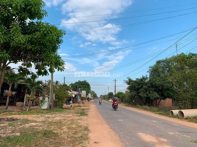 Ông anh kẹt tiền gửi bán dùm lô đất gần ngã 3 Cây Xoài,Thanh Phước. 57895362 Ông anh kẹt tiền gửi bán dùm lô đất gần ngã 3 Cây Xoài,Thanh Phước.