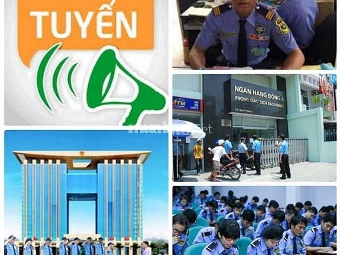 Nhân viên làm việc tại hệ thống siêu thị, tòa nhà, ngân hàng, 57944743 Nhân viên làm việc tại hệ thống siêu thị, tòa nhà, ngân hàng,